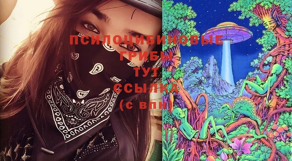 бошки Инсар